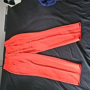 Size 6L express pants
